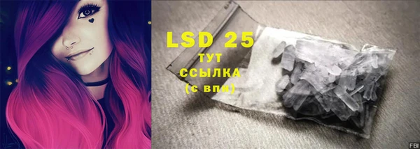 хмурый Алзамай