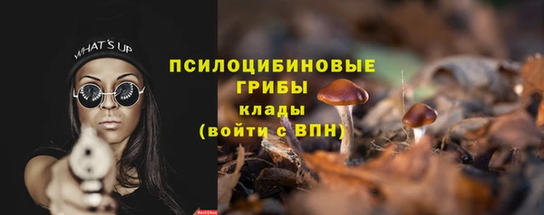хмурый Алзамай