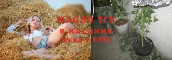 мет Алексин