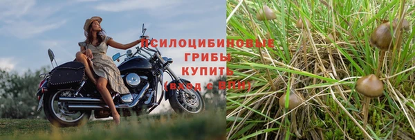 jwh Алексеевка