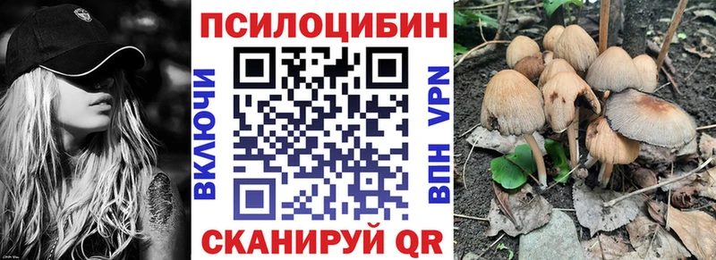 купить наркотики цена  Апшеронск  Псилоцибиновые грибы Psilocybe 